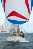 sea-pie of cultra gbr4254 whyw16 thur 800 3403w